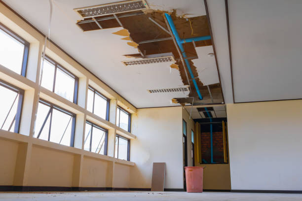 Best 24/7 water damage repair  in Detroit Beach, MI