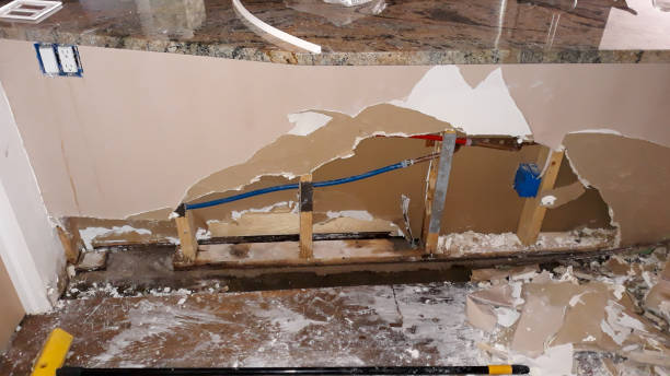 Best Professional water damage repair  in Detroit Beach, MI