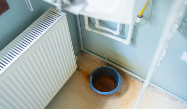 Best Mold removal after water damage  in Detroit Beach, MI