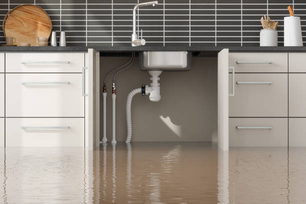 Best Local water damage restoration  in Detroit Beach, MI